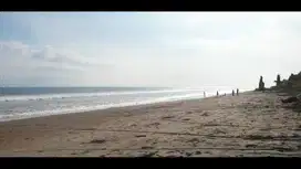 TANAH LOS PANTAI 30 ARE PREMIUM DI YEH KUNING JEMBRANA BALI