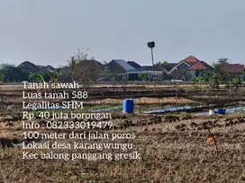 Tanah sawah satu tahun panin 3 kali