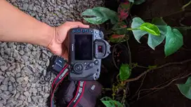 Dslr Canon 5D Mark IV body only