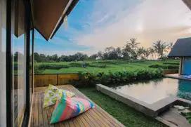 VILLA 2 KAMAR TIDUR VIEW SAWAH DAN VIEW JUNGLE DI PAYANGAN - UBUD