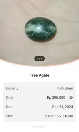 BATU PERMATA CINCIN TREE AGATE