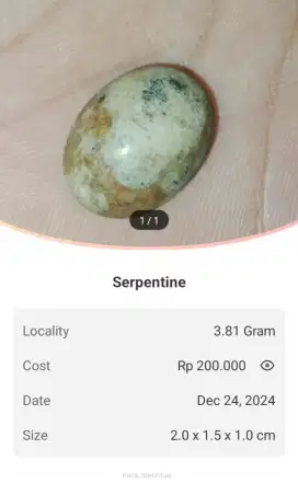 BATU PERMATA CINCIN SERPENTINE