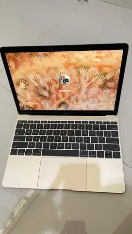 MacBook (Retina, 12 inci, tahun 2016)