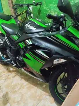 Kawasaki Ninja 250