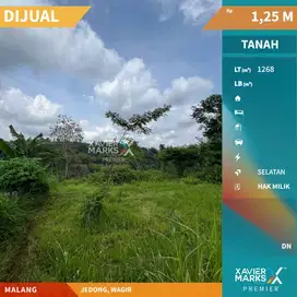 Dijual Murah Tanah Lokasi di Jedong Wagir Kabupaten Malang