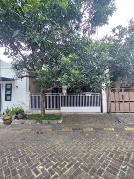 Dijual Cepat Rumah Murah BU Cepat PBI Araya Blimbing Kota Malang