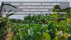 Dijual/Dikontrakan Tanah Kebun di Kota Bogor Tanpa Perantara