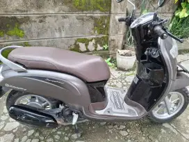 Honda Scoopy 2019