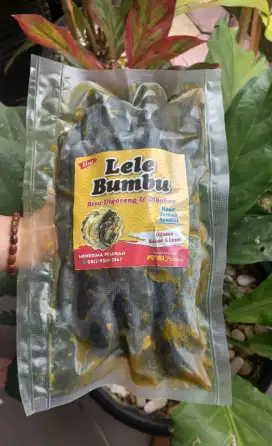 Ikan Lele Bumbu Siap Masak