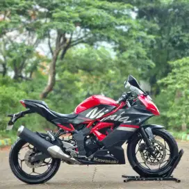 KAWASAKI NINJA 250 MONO SL 2019 KM LOW ISTIMEWA PAJAK PANJANG