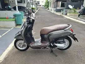 Honda Scoopy Seperti Baru ( KM dibawah 1.000)