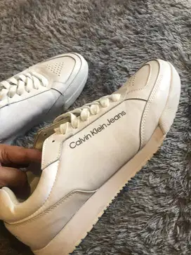 sepatu calvin klein - pria