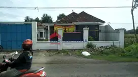 Rumah + Sawah DIJUAL terletak di jalan raya