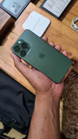 Iphone 13 pro 128gb ibox warna alpine green