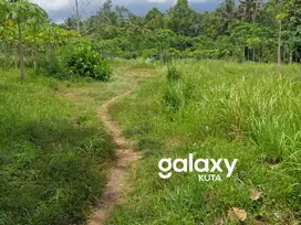 TANAH TANAH DATAR DI GALUH PEKUTATAN NEGARA JEMBRANA, BALI