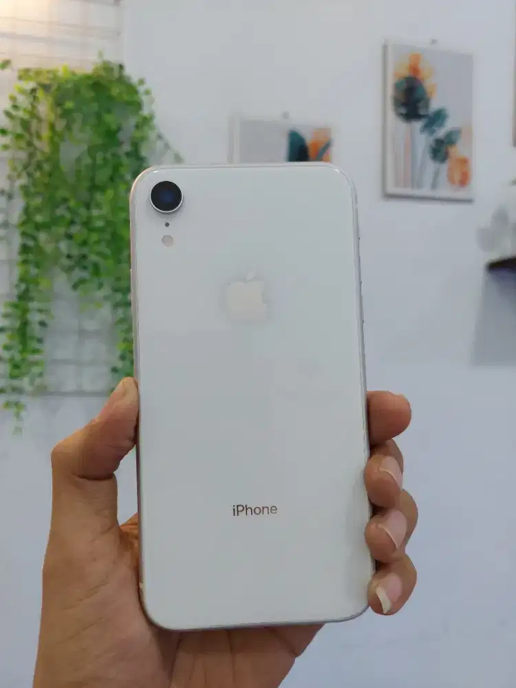 IPHONE  XR 64 GB (Jaringan permanen / Pemakaian lama)