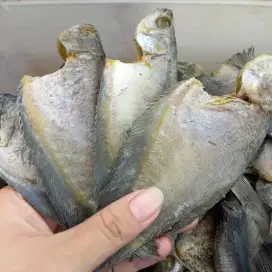 IKAN ASIN SEPAT SIAM 250GR