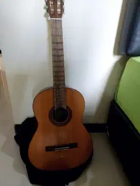 Gitar Yamaha C315