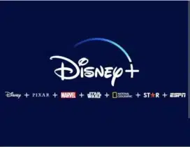 Disney+ Hotstar Premium Premium