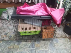 Kandang kucing + pet cargo + litter box + bonus kandang burung