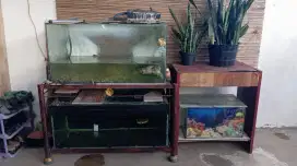 3 aquarium 1rak