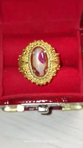 Ruby burma belang koi / mirah windusara