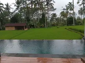 JUAL VILLA CUAN GIANYAR UBUD BALI