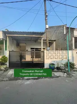 Disewakan Rumah Tropodo gang Masjid Waru Sidoarjo SIU.A128