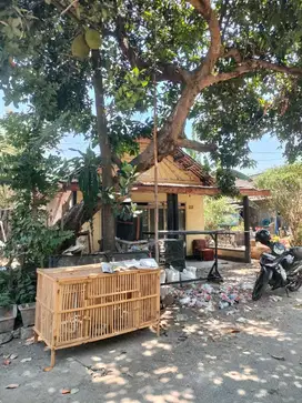 jual rumah kampung Mojokerto