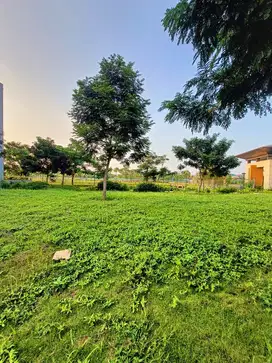 Kavling Residence, Golf Island, View Danau, Pantai Indah Kapuk