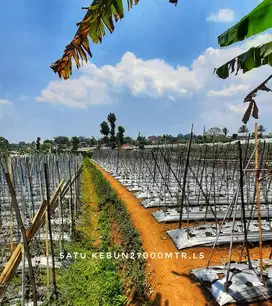 Dijual tanah subur luas view keren akses mudah dekat jalan nasional