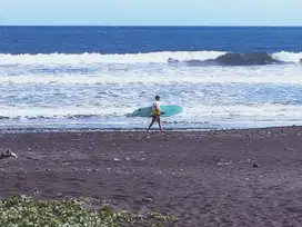 Tanah los pantai medewi surfing, kawasan resort mewah