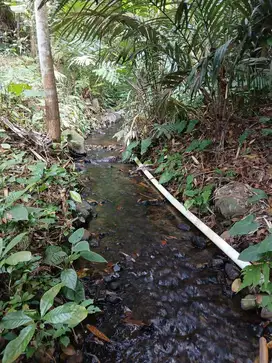 DIJUAL TANAH SHM PEKARANGAN ADA LEDENG AIR MELIMPAH DI TURI SLEMAN