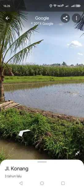 sawah produktif pakis malang