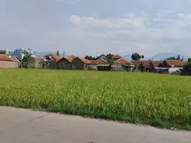 Tanah Sawah Dipinggir Jalan Ciparay