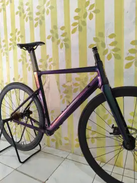 Frameset ROADBIKE + WHEELSET