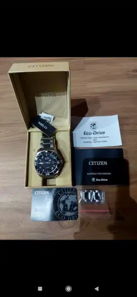 Jan Tangan Pria Citizen