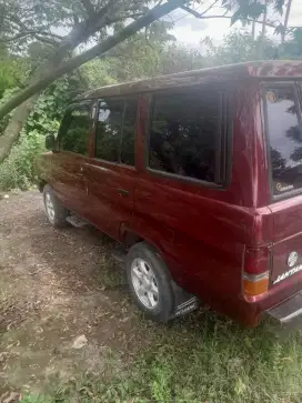 Kijang jantan merah maron