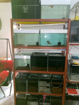 Rak beserta aquarium 120x40