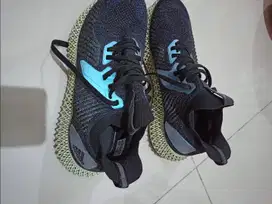 Nike Zoom Fly 5 Ekiden 2024 (45) & Adidas Alpha edge 4D (44 2/3)