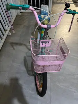 Sepeda Anak United Bike