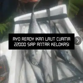 Ayo ready ikannya buat tahun baruan