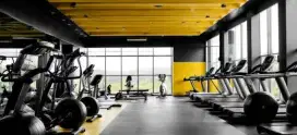Free latihan olahraga & Gym