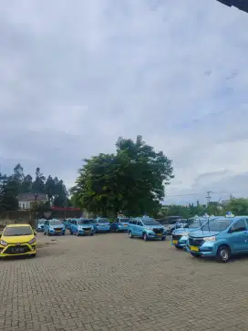 Lowongan driver Taksi Bluebird Tambun