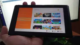 Nintendo Switch OFW (Tablet Only)