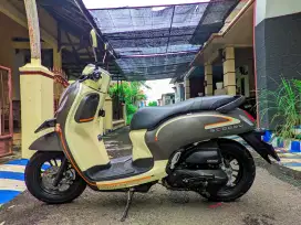 Scoopy 2023 plat N probolinggo