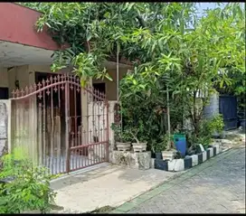 Dijual Rumah Rungkut Menanggal Harapan