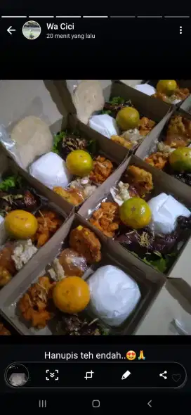 Terima pesanan nasi box