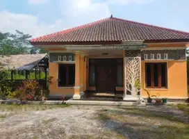 BELI RUMAH MURAH BONUS TANAH 2862M DI BANDONGAN MAGELANG