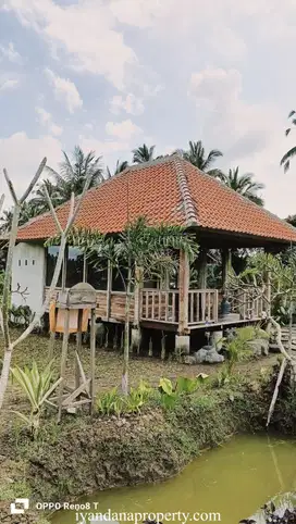 ID:F-930 Disewakan Guest House Tegalalang Gianyar Bali Dekat Ubud